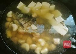 青菱鲫鱼豆腐汤的做法图解14