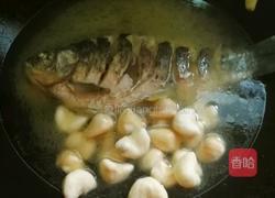 青菱鲫鱼豆腐汤的做法图解13