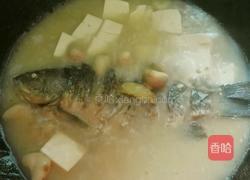 青菱鲫鱼豆腐汤的做法图解16