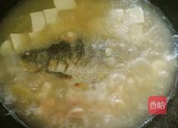 青菱鲫鱼豆腐汤的做法图解15