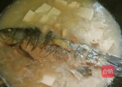 青菱鲫鱼豆腐汤的做法图解17