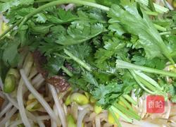 牛肉炖豆牙的做法图解13