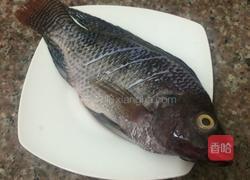 清炖罗非鱼的做法图解1