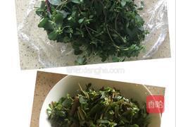 马齿苋托面的做法图解1