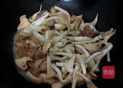 鲜鸡焖秀珍菇的做法图解7