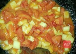蕃茄土豆汤的做法图解4