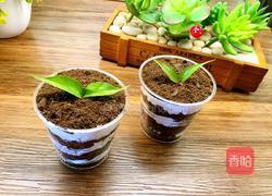 奥利奥木糠蛋糕的做法图解5