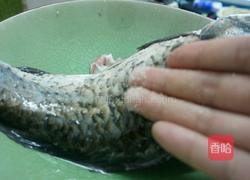 蛤蜊汆鲫鱼的做法图解4