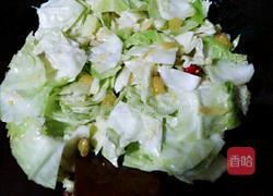 泡椒包菜的做法图解6