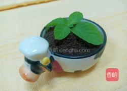 盆栽冰淇淋的做法图解13