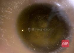 番茄鸡蛋炒面的做法图解2