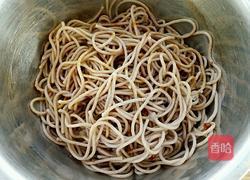 凉拌荞麦面的做法图解4