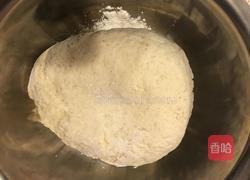 猪肉茄子包子的做法图解1