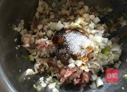 冬瓜猪肉饺子的做法图解2