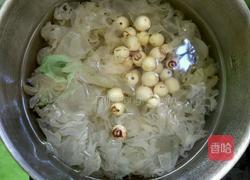 银耳莲子的做法图解3