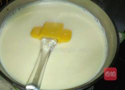 酸奶冰激凌的做法图解9