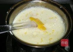 奥利奥冰淇淋的做法图解10