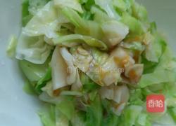 凉拌圆白菜的做法图解10