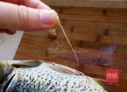 鲤鱼汤的做法图解2