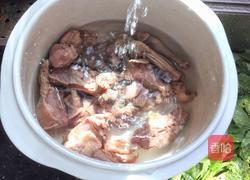 鸽子汤的做法图解3