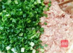小葱香辣酱饺子的做法图解4
