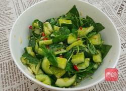 凉拌荆芥黄瓜的做法图解6