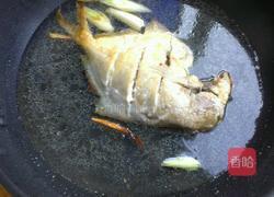 红烧银鲳鱼的做法图解5