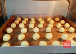 奶酪球的做法图解10