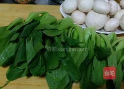 椒油口蘑小油菜的做法图解1