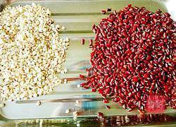 红豆薏米麦片粥的做法图解1