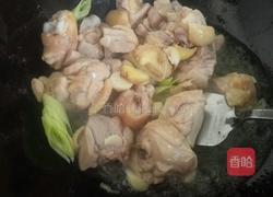 土豆炖鸡肉的做法图解3