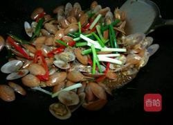 辣炒蚬子的做法图解7