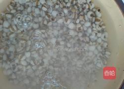 薏米水的做法图解2