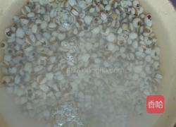 薏米水的做法图解3