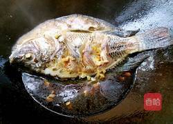 红烧罗非鱼的做法图解5