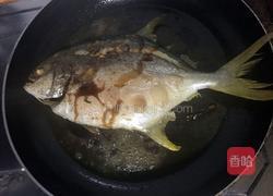 干烧金鲳鱼的做法图解5