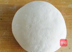 羊肉包子的做法图解2