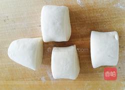 羊肉包子的做法图解4