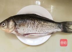 鲫鱼汤的做法图解1