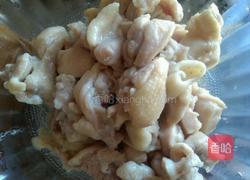 黄焖鸡块的做法图解9