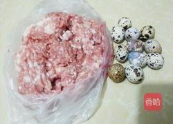 太阳肉的做法图解1