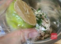 傣味柠檬鸡的做法图解5