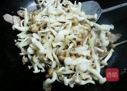 白玉菇炒肉片的做法图解5
