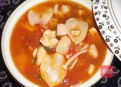 番茄煮鱼的做法图解14