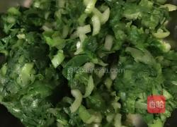 小白菜饺子的做法图解5