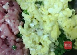 小白菜饺子的做法图解8