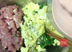 小白菜饺子的做法图解10