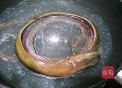 爆炒黄鳝的做法图解2