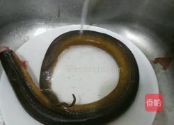 爆炒黄鳝的做法图解3