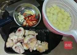 土豆烧鸡的做法图解3